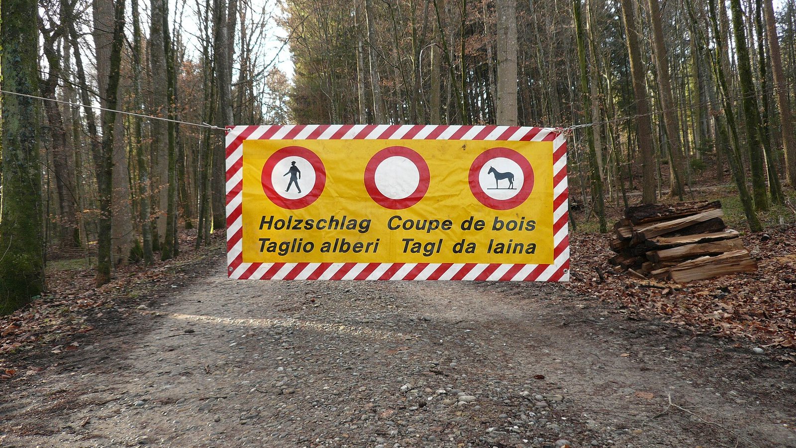 Swiss languages on one sign: a forest warning in German, French, Italian and Romansh