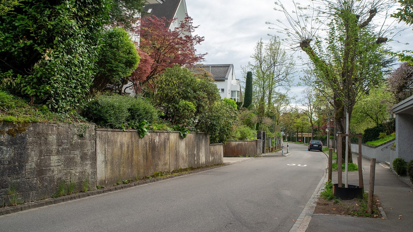 A quiet residential street in Zurich lined with walls, gardens and trees, with no traffic